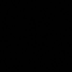 Meet your Posher, Camila